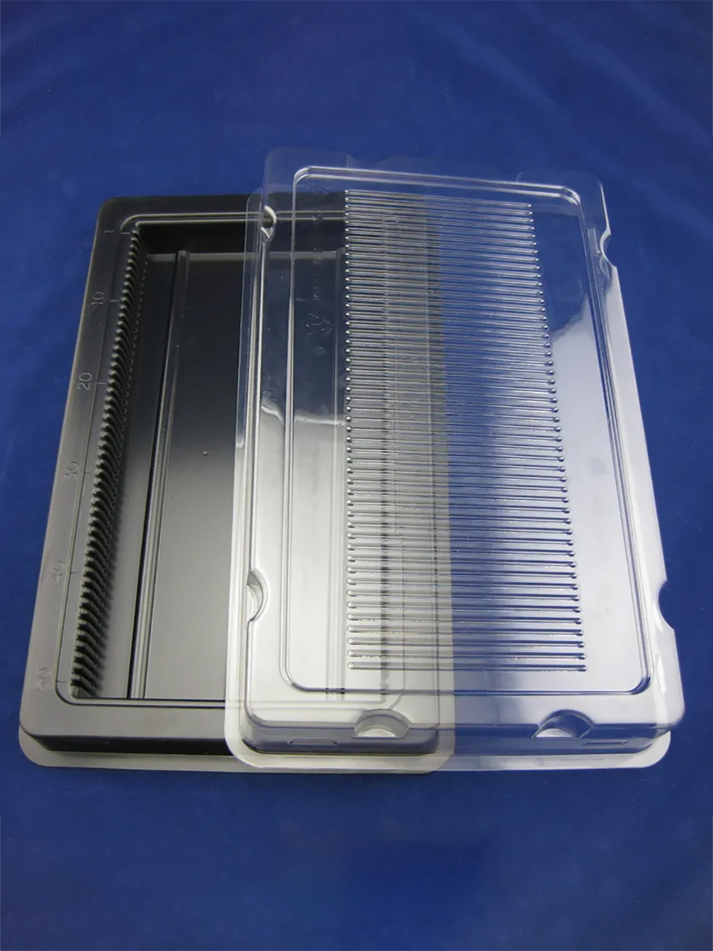 Blister Box