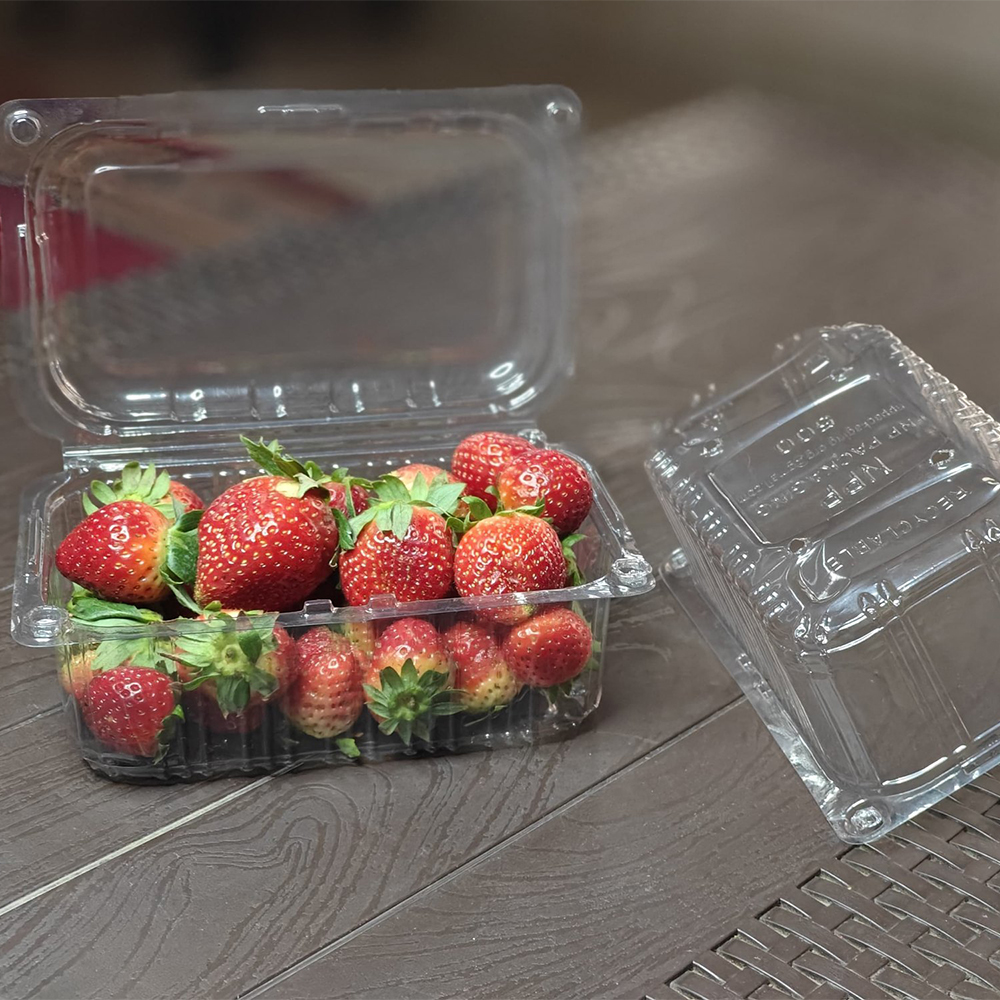 Custom Blister Box
