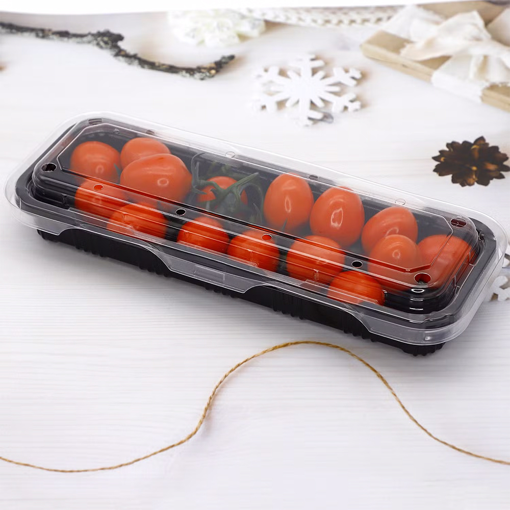 Blister Box