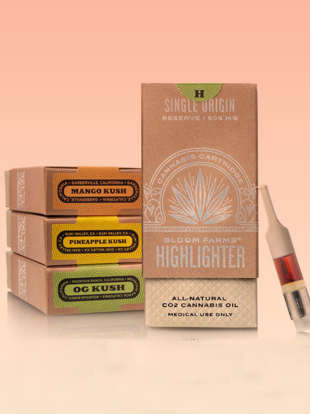 Luxury custom vape cartridge packaging boxes