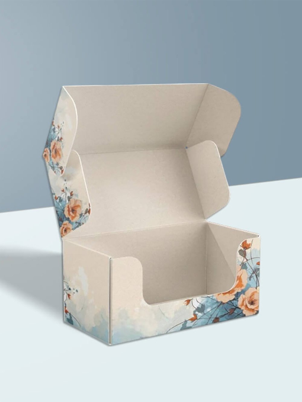 Cardboard Display Boxes