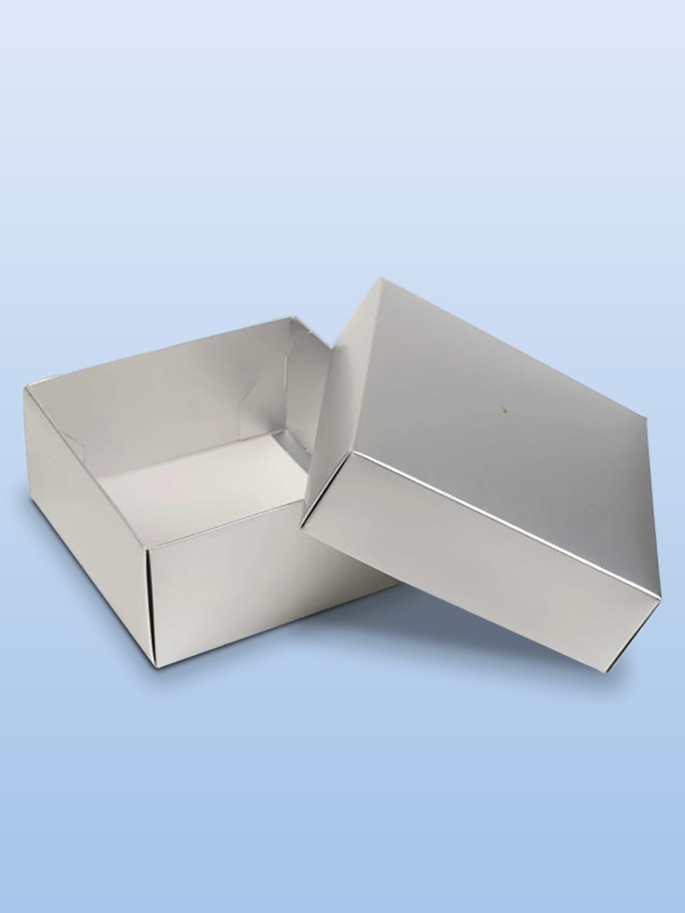 Custom Silver Foiling Boxes