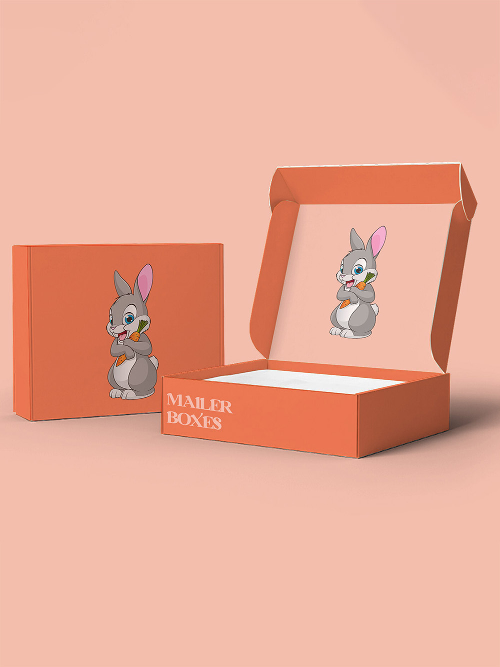 Eco Friendly Mailer Boxes