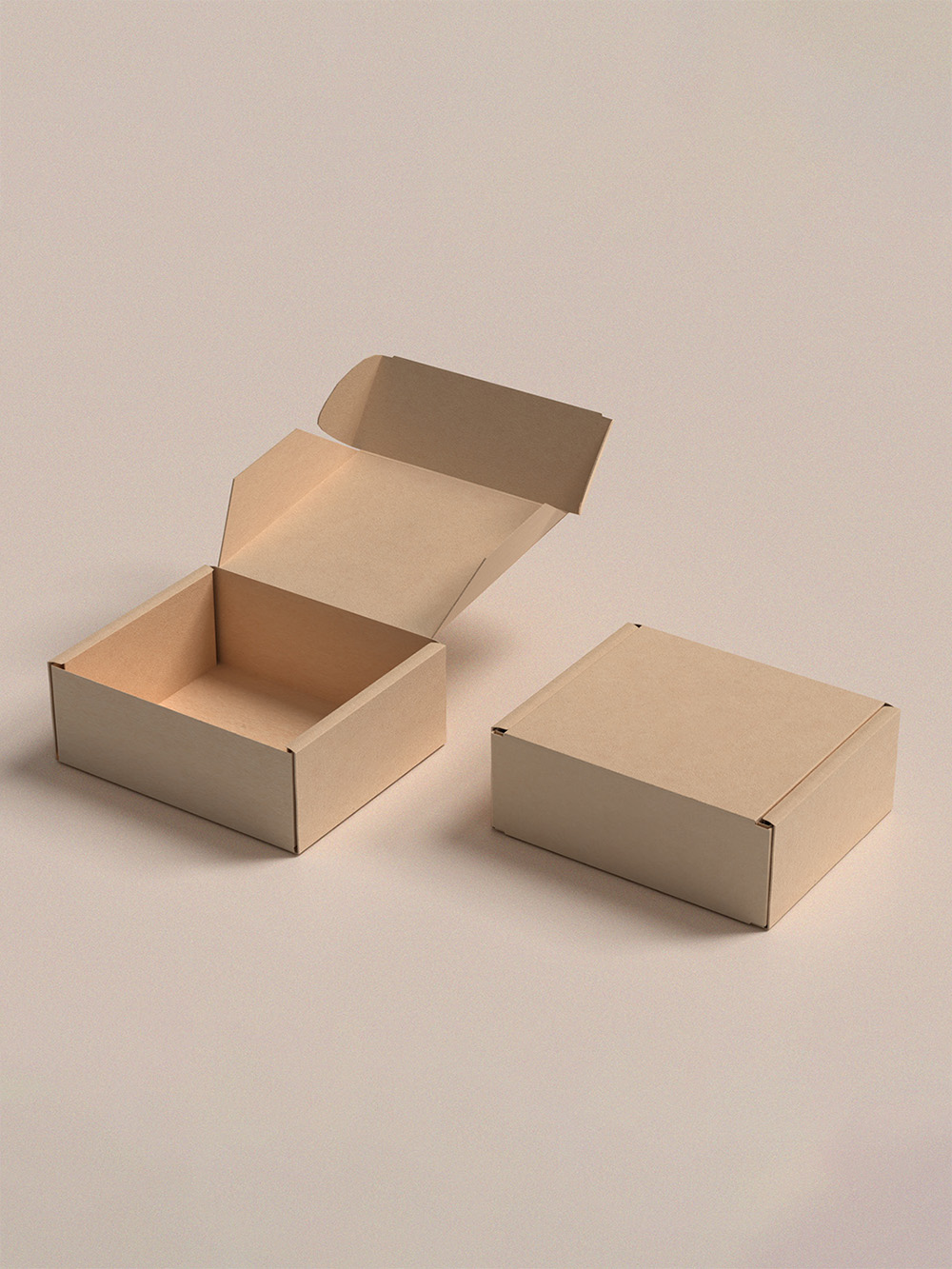 Eco Friendly Mailer Boxes
