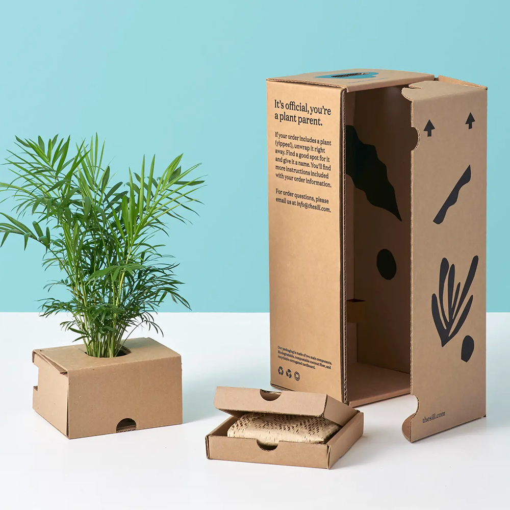 CARDBOARD BOXES