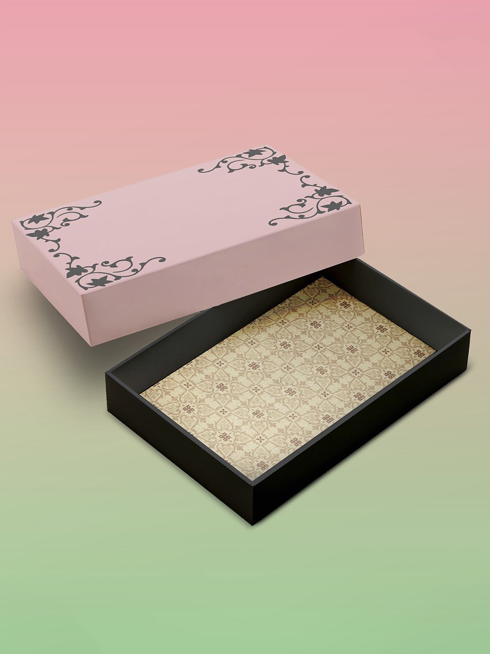 lid off Box and Tray