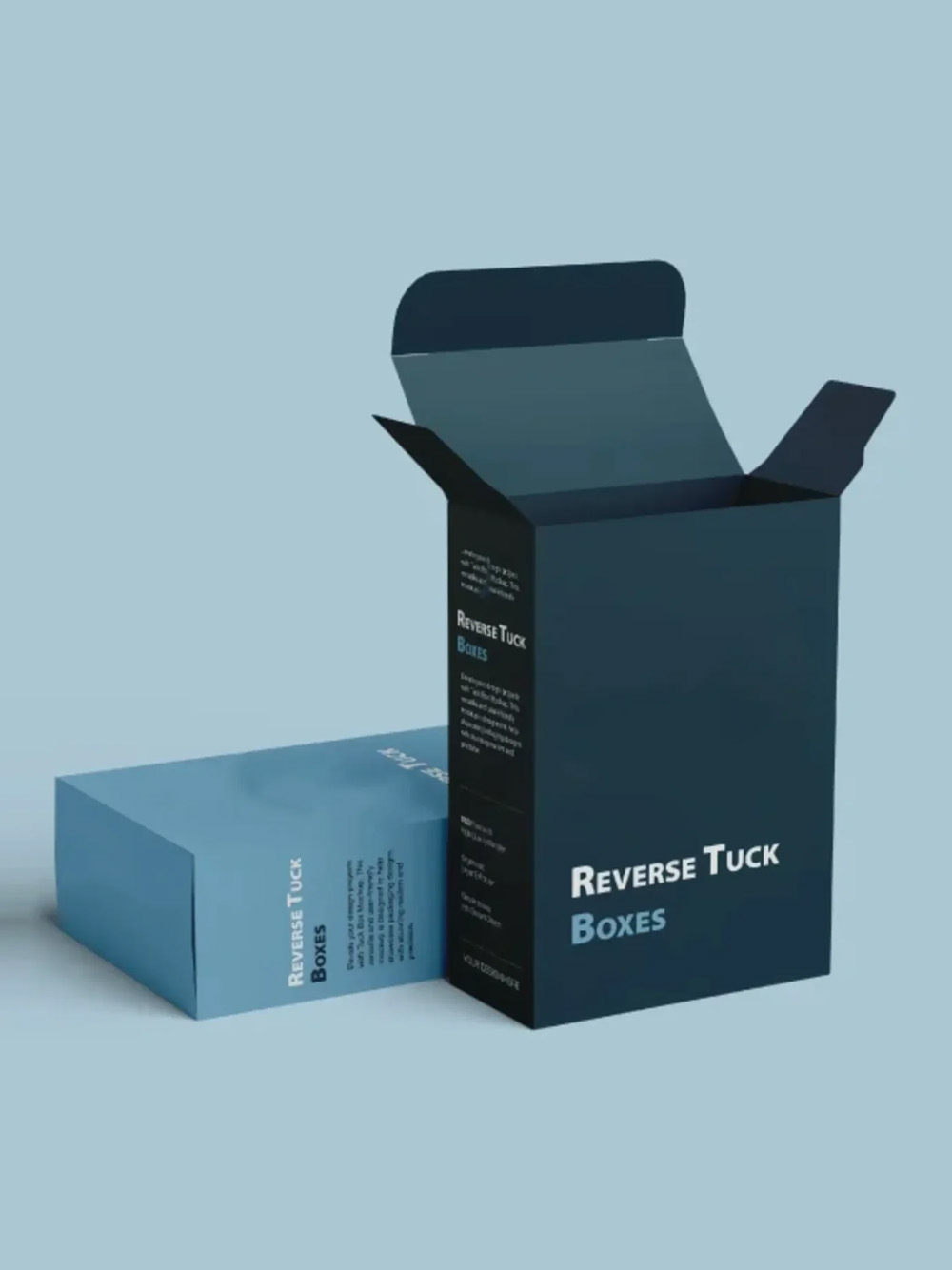 Durable Reverse Tuck Packaging Box Design