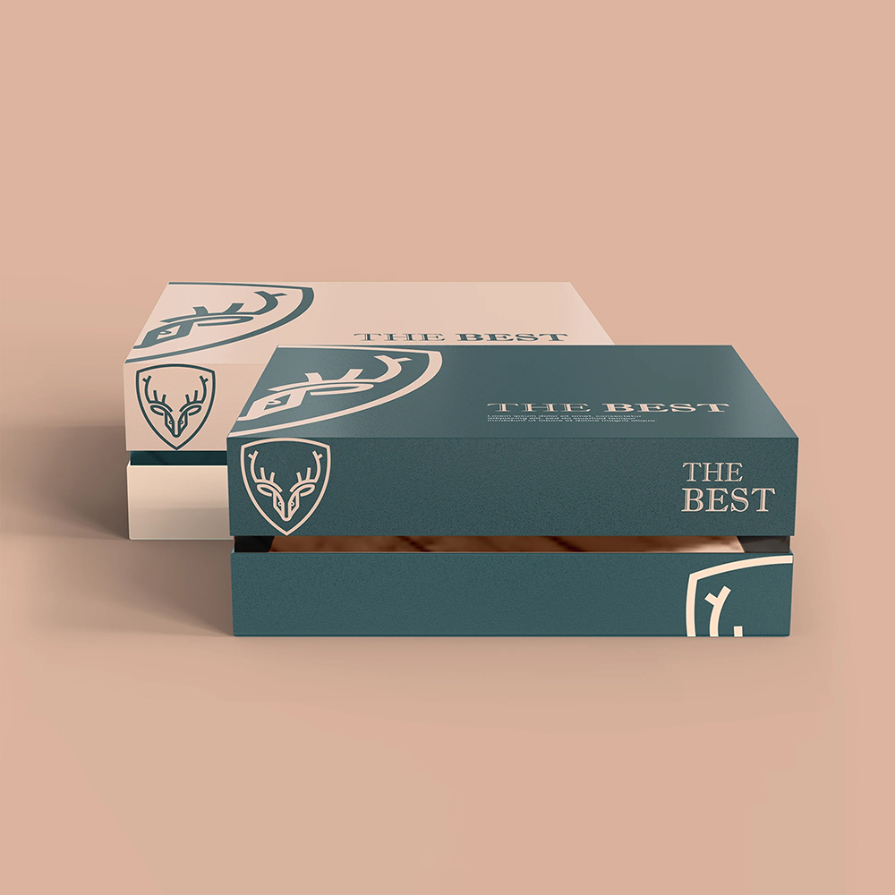 Shoulder rigid box with compartments for sets