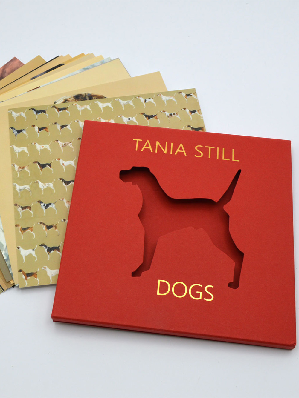 High-quality die cut postcard with custom edges