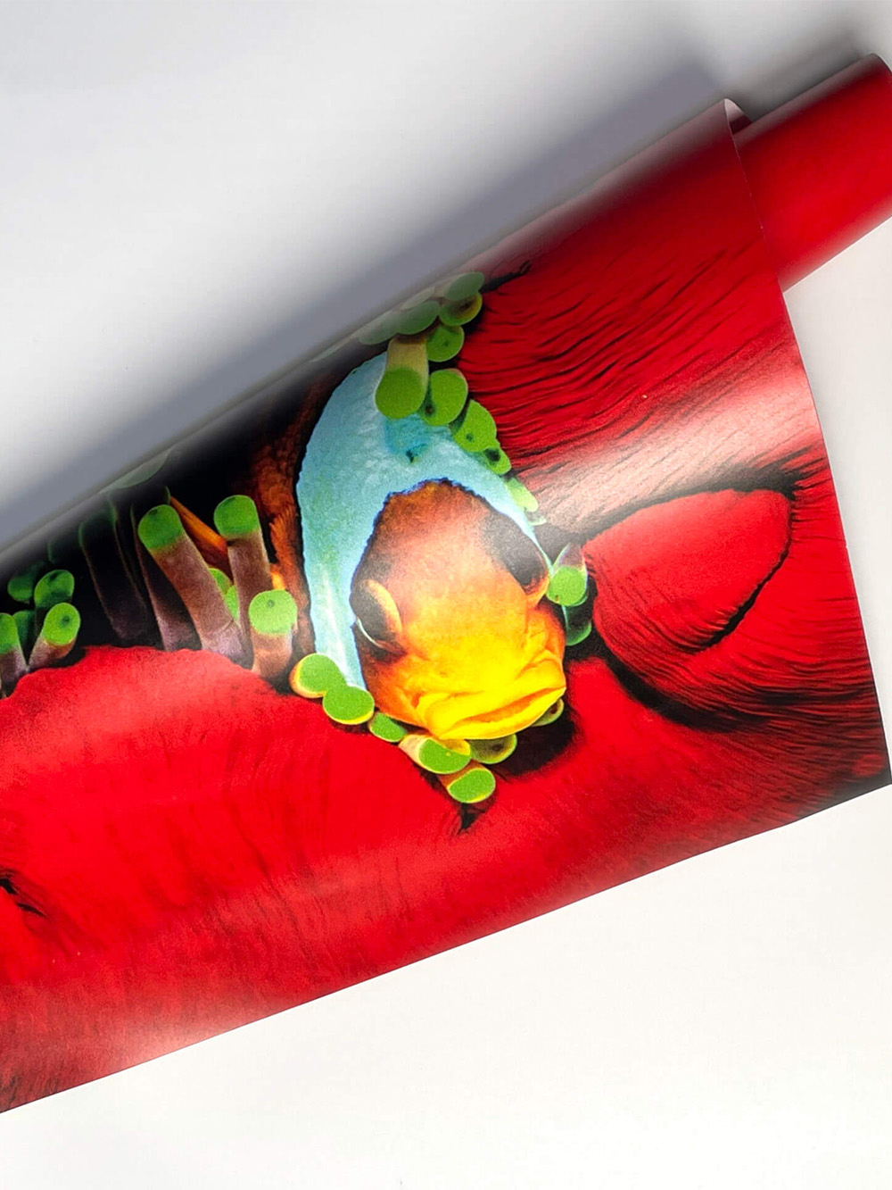 Creative poster printing for indoor and outdoor use