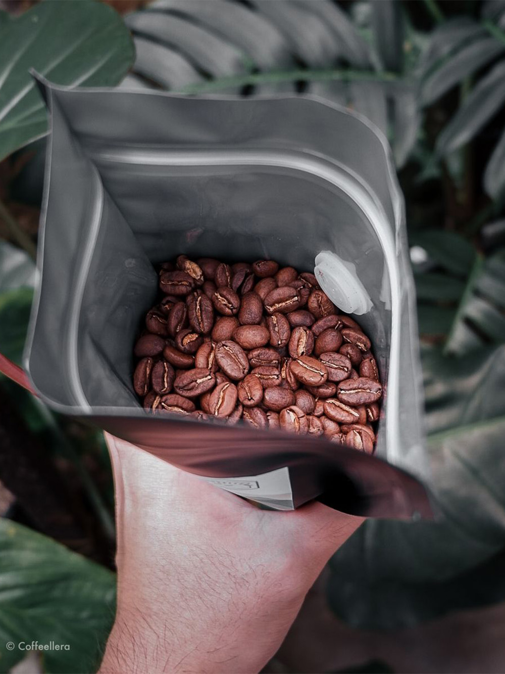 Stand Up Coffee Pouches Wholesale