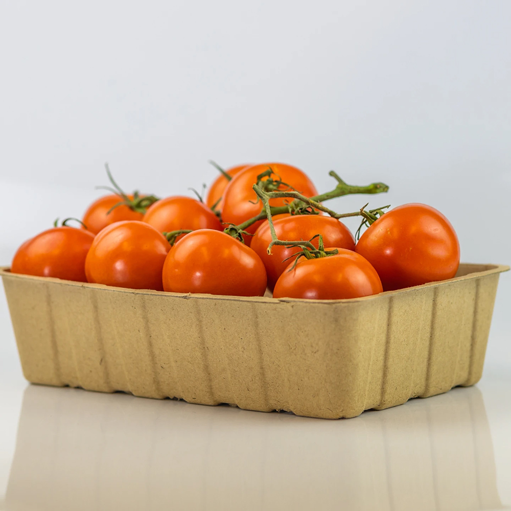 Biodegradable Packaging