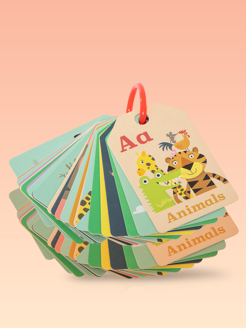 Flash Cards