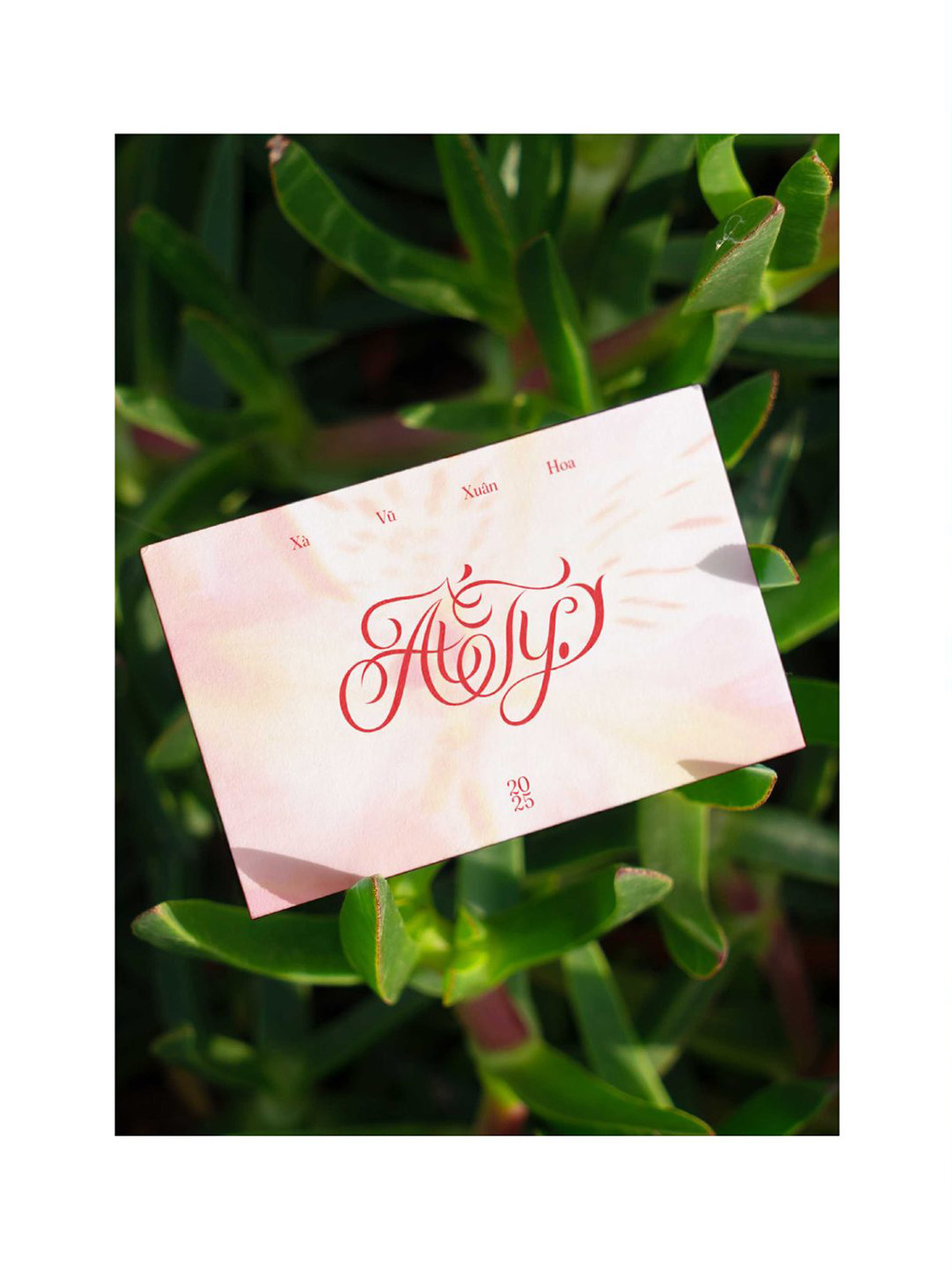 Shipping Mailers & Envelopes Printing