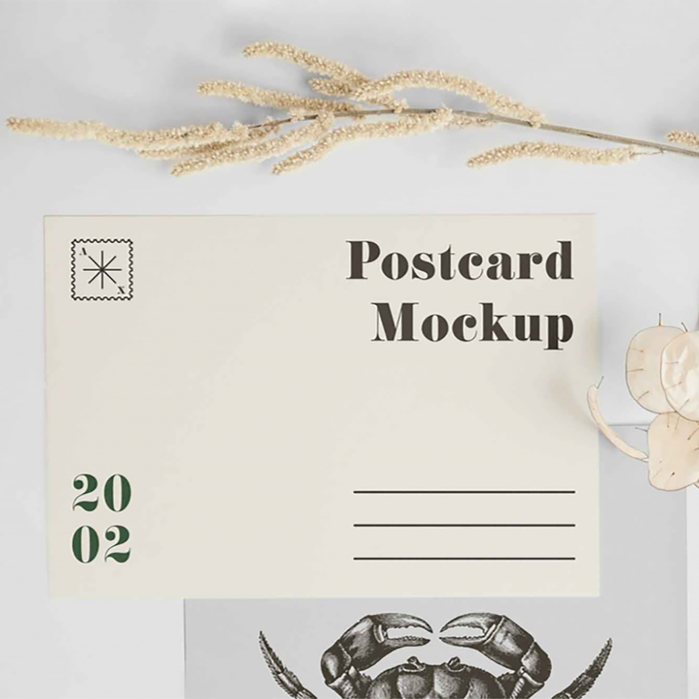 Standard Postcard Printing