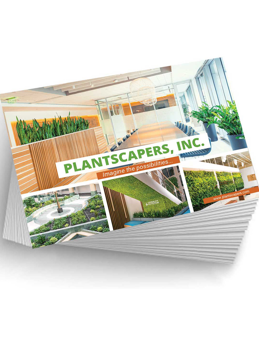 Standard Postcard Printing