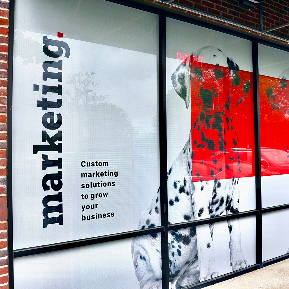 Wall & Window Stickers Printing