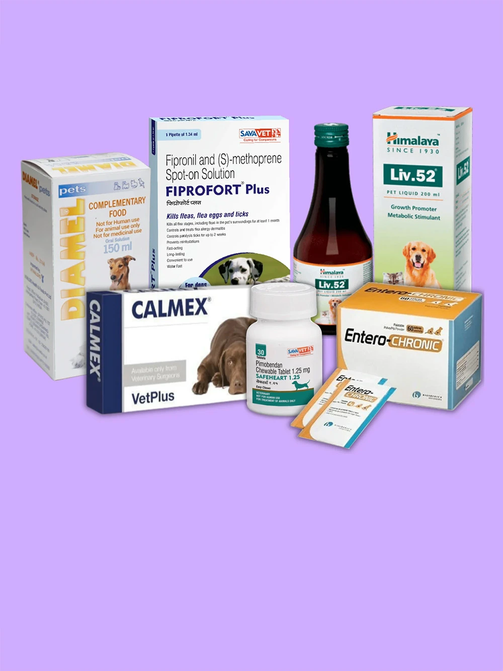 Custom Veterinary Medicine Boxes