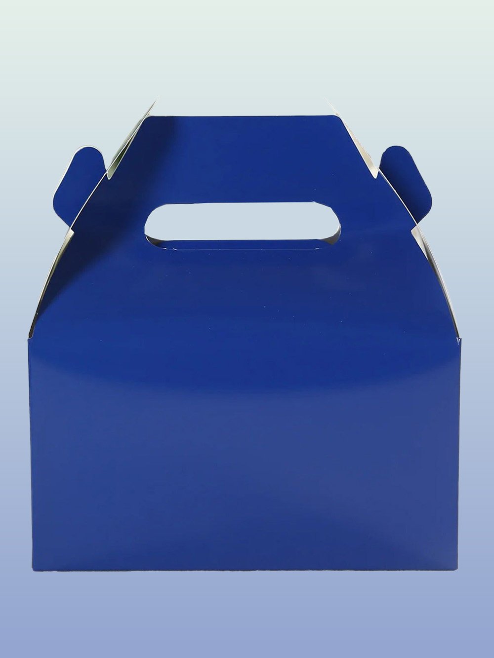 Black & Blue Gable Boxes