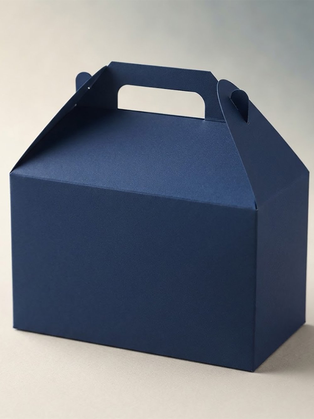 Black & Blue Gable Boxes
