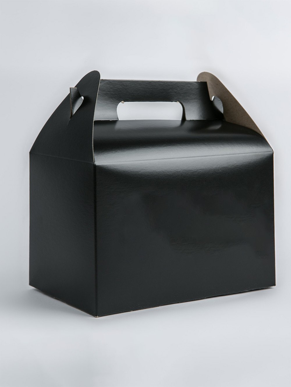 Black & Blue Gable Boxes