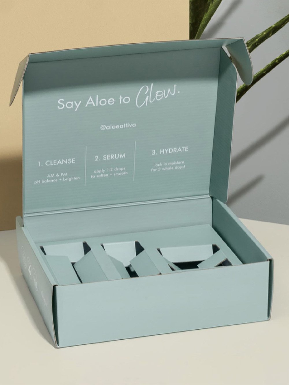 Custom Cleanser Boxes