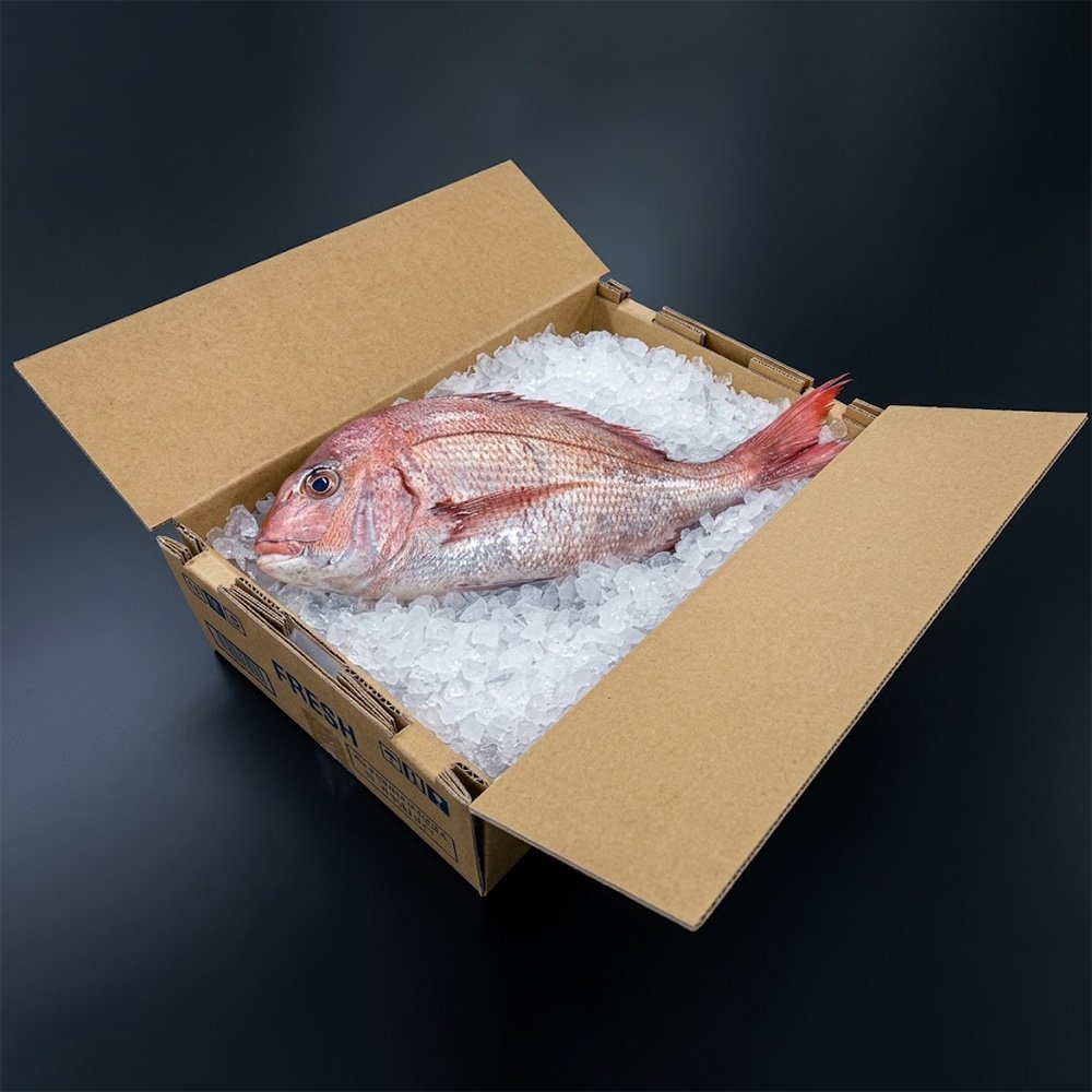 Fish Boxes