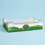Machine-Erect Fruit & Vegetable Packaging