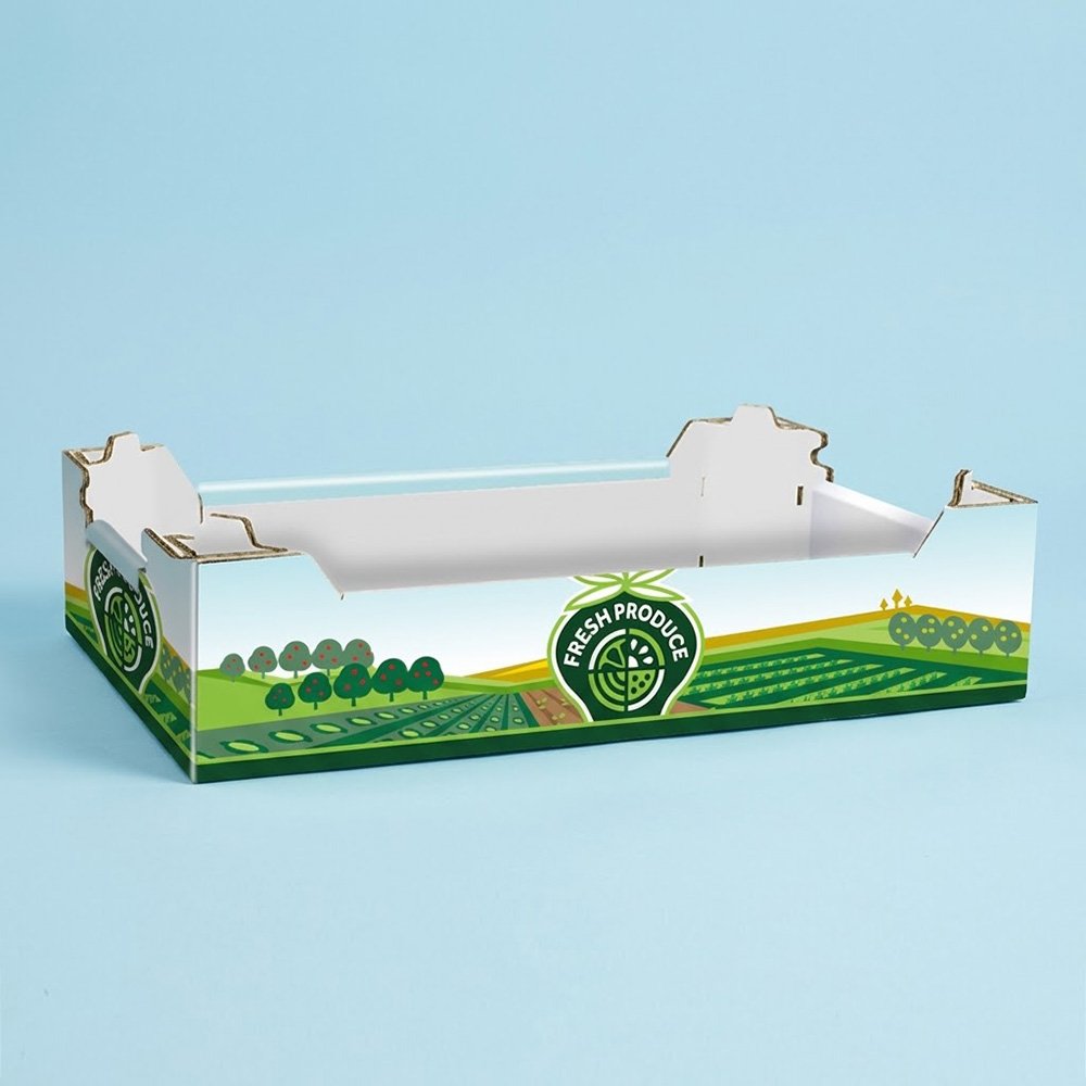 Machine-Erect Fruit & Vegetable Packaging