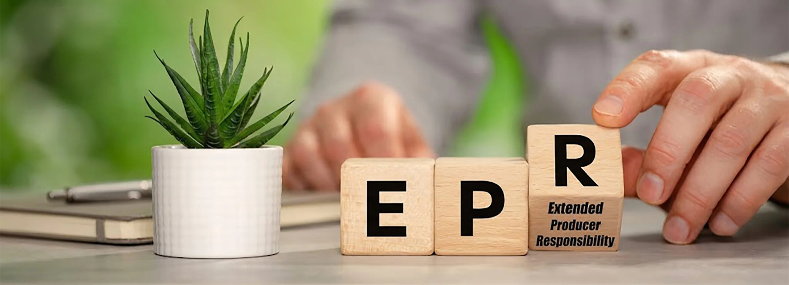 Packaging EPR UK What Small Businesses Must Report